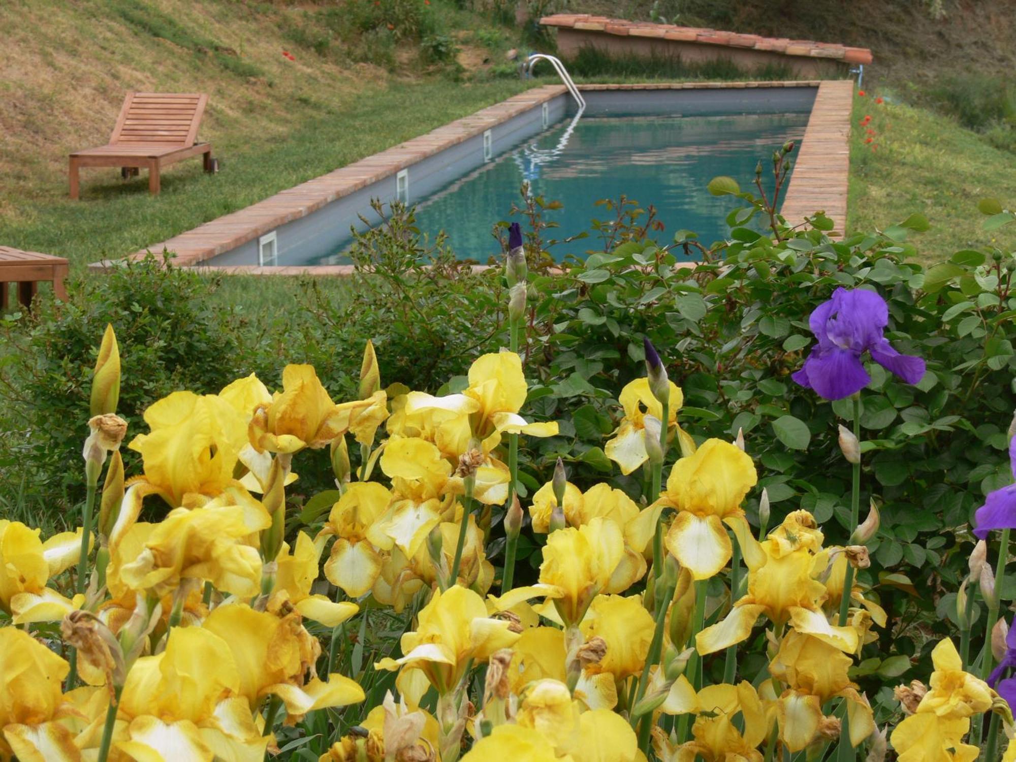 Vaglio Serra Casa Isabellaゲストハウス エクステリア 写真